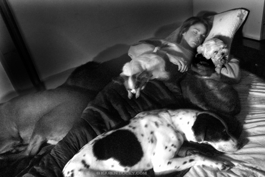 Sheltering Animals.  February 22, 2006.  Belltown  (PI photo/Karen Ducey)