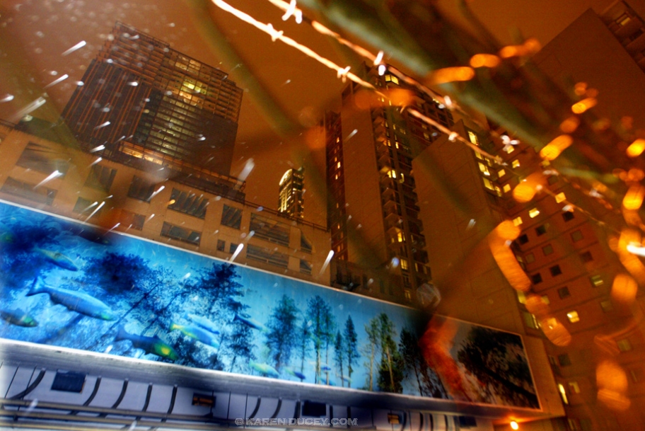 extraordinary-environmental-art-ducey